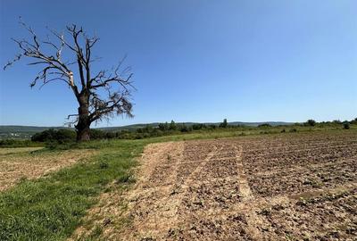 Teren langa padure pentru casa, Cercu, Barnova, de la 500mp la 4000mp - 3