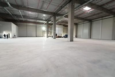 Spatii logistice Bacau - 3