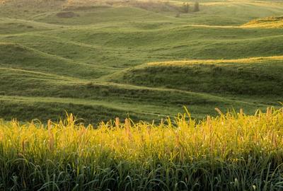 Vanzare Teren Extrav. divizate Arabil, Pășune Chesint, Zabrani48.86ha - 5