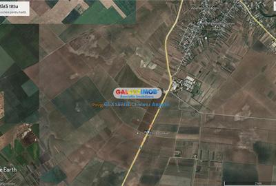 Adunatii Copaceni teren intravilan  14700 mp,deschidere 62m - 2