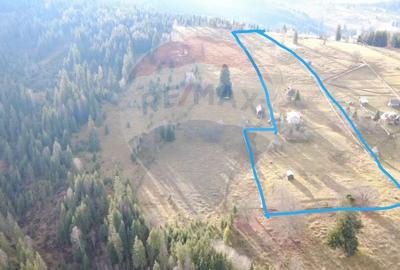 Teren INTRAVILAN 23.238m.p. Dorna-Arini / Cozanesti - 1