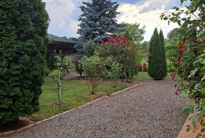 VILA IN REGIM DE INALTIME PARTER SI ETAJ ULTRAFINISATA PE 19 ARI TEREN - 40