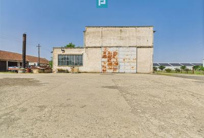 Hală pentru producție - 700 mp utili - 1