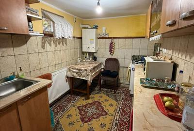 Casa de vanzare Zona Arcasilor P+M - 11