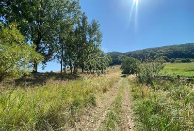 Teren intravilan 2600 mp - pretabil casa/investitie-Zona Aerodrom - 5