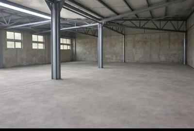 Spațiu Depozit/Industrial 300mp | Colentina | Acces Facil | Trifazic - 1