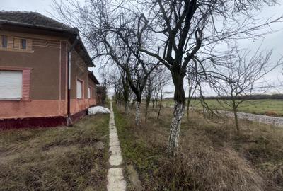 Teren intravilan, Somosches, jud. Arad - 1