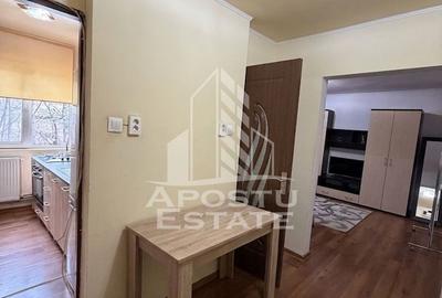 Apartament 1 cameră de închiriat , Take Ionescu -Semicentral-Timișoara - 7