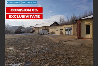 Spațiu industrial, 600 mp în Doman