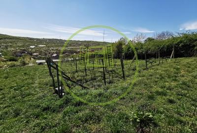 Teren intravilan si extravilan cu anexa gospodareasca amenajata, cu utilitati - 6