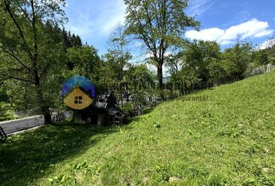 Teren 5777 mp in comuna Ceahlau - 7