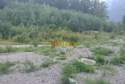 Teren intravilan 15.000 mp Busteni - 3