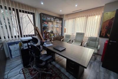 Timpuri Noi, 10 minute metrou, pe Cuza Voda, vila exclusivista P+1+M, lux, - 11