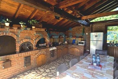 Casa pretabila pentru pensiune sau locuit,ideala pentru familii,Sanmartin, Bihor - 2