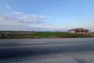 Teren 12,360mp Botarlau / Strada Unirii - 1