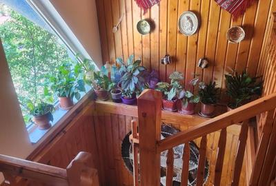 Vila de vacanta de vanzare in Busteni - Zona Zamora - 42