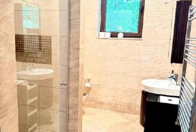 Vila cu piscina si gradina, zona Iancu Nicolae - 12