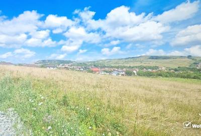 Parcela de teren intravilan de vanzare in Chinteni - 2
