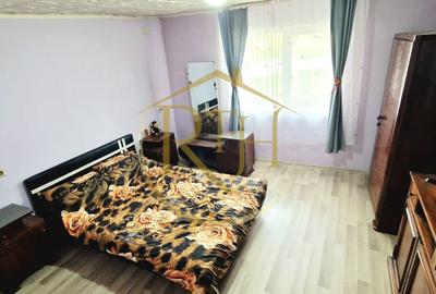 Vand casa recent renovata cu 900 mp curte si gradina in Carpinis - 2