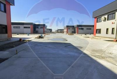 Hale noi de inchiriat Domnesti - putere instalata pana la 600kva - 19