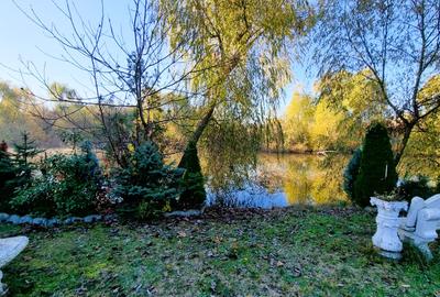 Resedinta de Prestigiu | Teren 2200 mp | Erou Iancu Nicolae | Deschidere la lac - 13