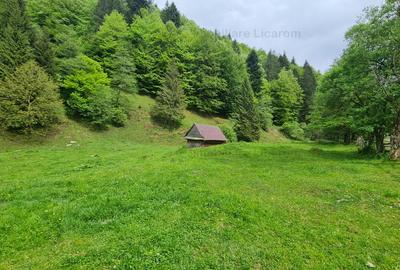 13005 mp teren faneata in Bran Simon cu fornt de 57 mp