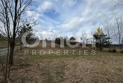 Teren agricol intravilan de 3423 mp, în Copalnic