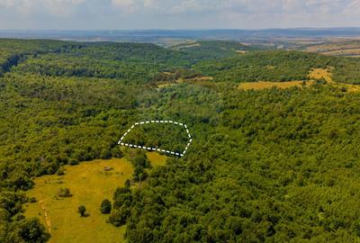 Teren 6,572 mp/Grid/ Comision 0% Intravilan/Construibil - 5