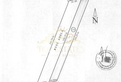 Vanzare teren intravilan zona industriala 5000 mp - Chiajna A1, Ilfov - 1
