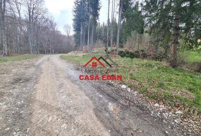 Teren extravilan Valea Doftanei 20.500 mp 6e mp - 9