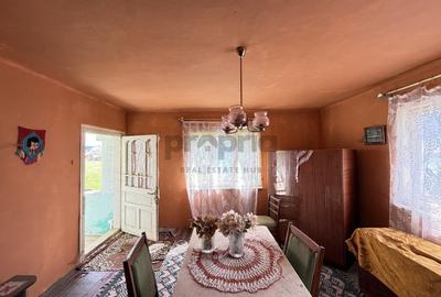 COMISION 0% - CASĂ PITOREASCĂ ÎN ACRIȘ - VAMA BUZĂULUI - 11