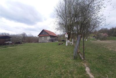 10 000 mp teren intravilan cu priveliste - 8