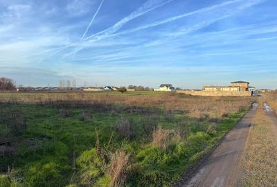 Teren Intravilan 468mp Lebedelor Com. Berceni | utilitati | #MG1E - 9