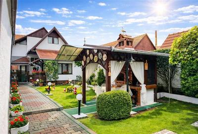 FILM & 3D! Intre traditie si modern, un camin cu personalitate - 1