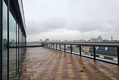 Spatii birouri de inchiriat Banu Antonache Offices de la 219 mp - 16
