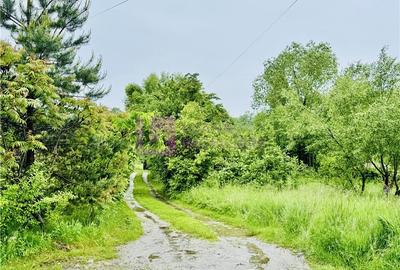 Teren Construcții intravilan de 1600 mp, în Central