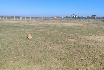 Teren Intravilan comuna Osorhei Bihor. - 3