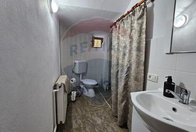 Pensiunea Valea Lisei – nouă, complet utilată - 30