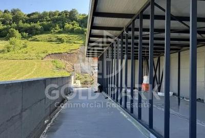 Spatiu Industrial - Baciu - 1300 mp - Plaftorma Betonata - Acces TIR - 7