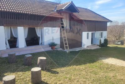 Vânzare casa la munte - zona turistica - Baia de Fier - 12