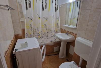 Apartament 2 camere Costin Georgian - 10