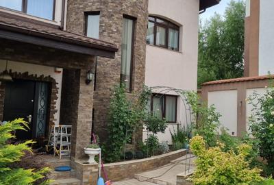 Vanzare Casa/Villa 6 camere 3 bai 3 wc -uri Dobroiesti 0% Comision - 44