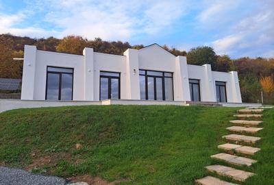 VILA NOUA,MODERNA CU 2100 METRI PATRATI TEREN-VIISOARA - 1