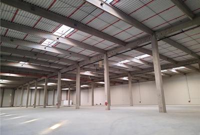Spatiu Industrial - 1140 mp - Productie - Depozitare - Distributie - E-Commerce - 20