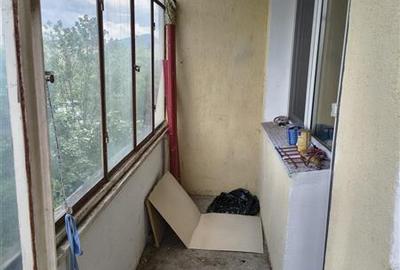Apartament cu 2 camere, etaj intermediar, in Astra, Brasov - 20