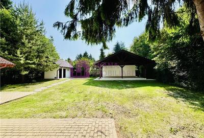 Casa de vacanta 7 camere | Valea Avrigului | teren 1000 mp | video - 11