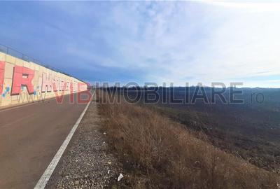Otopeni - teren intravilan, ideal investitie. - 4