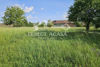 Teren intravilan 3000 mp Ernei – panorama superba, utilitati in zona - 5
