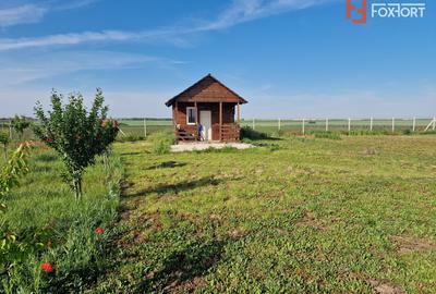 Teren agricol extravilan de 3500 mp, în Remetea Mare