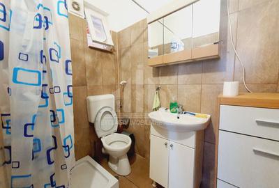Casa individuala | De inchiriat | 250 mp | 7 camere | Cetate - 8
